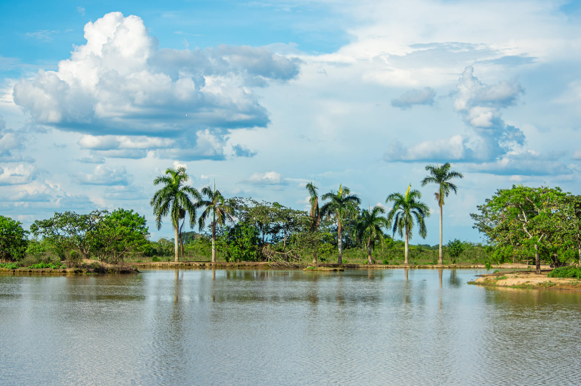 Paisaje fluvial en Casanare