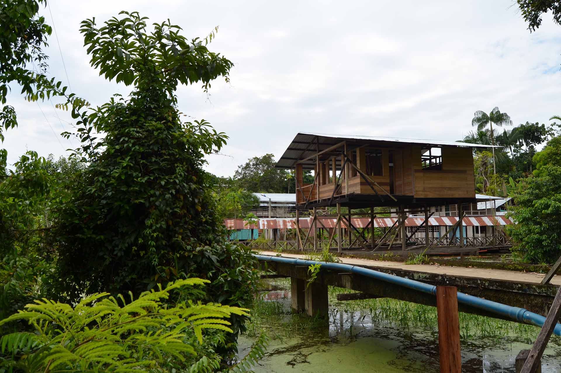 Puerto Nariño en el Amazonas