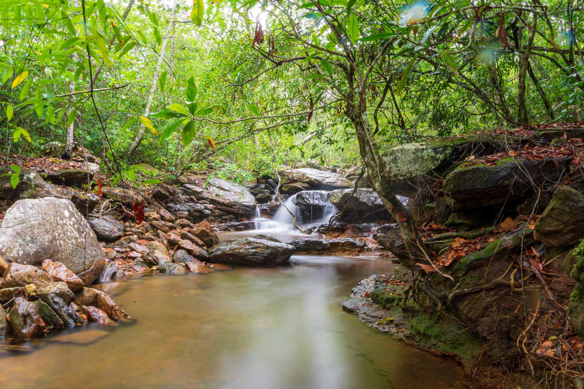 Tranquilandia en la Amazonía colombiana