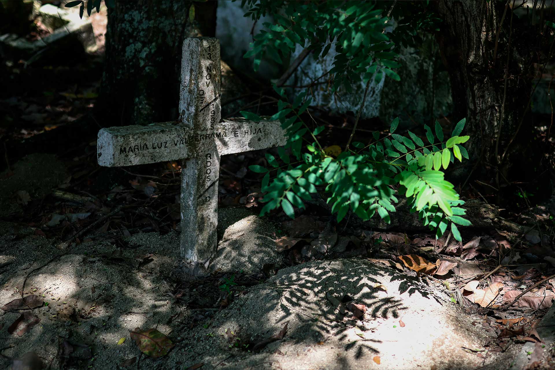 Fotos de la semana - Especiales Semana