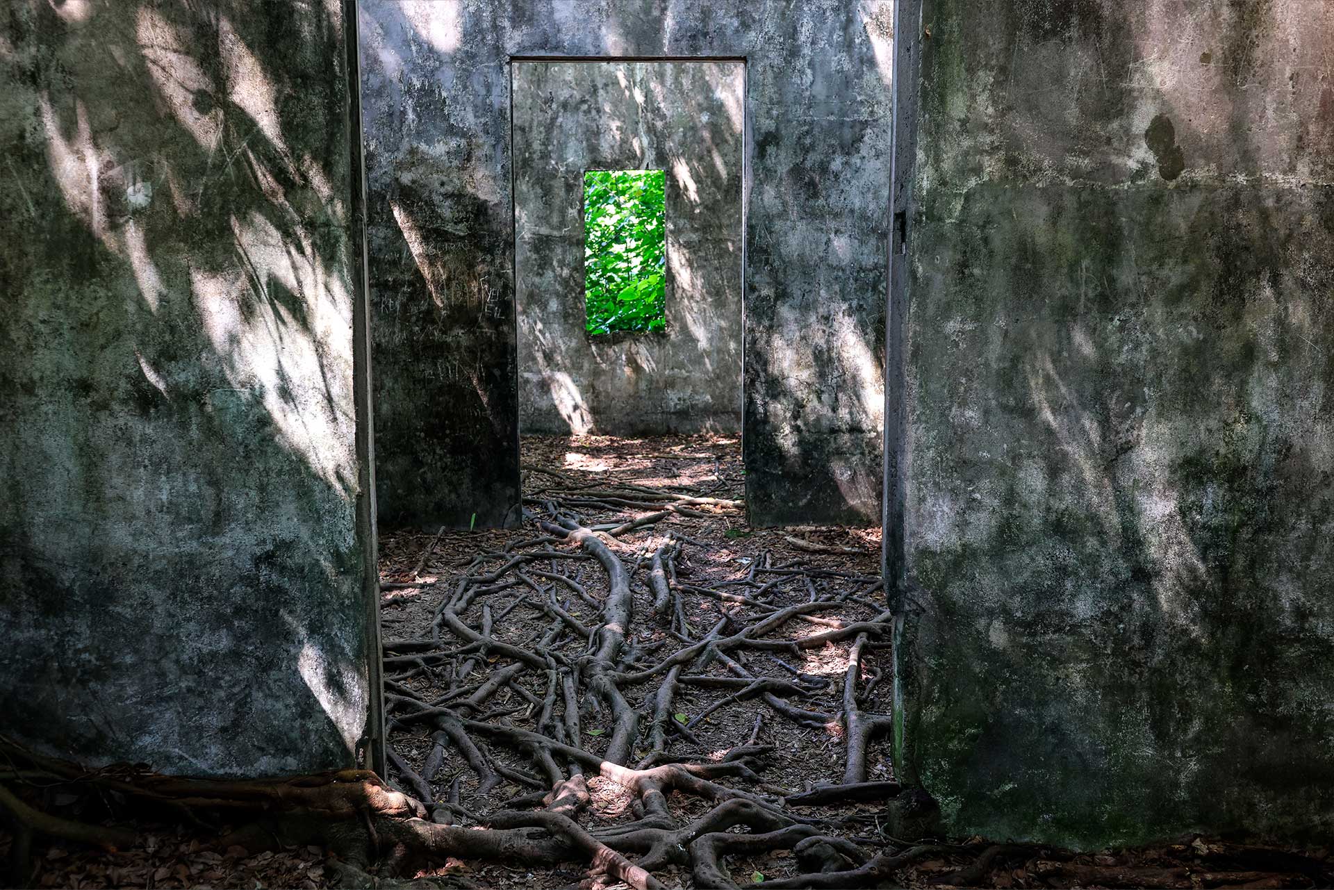 Fotos de la semana - Especiales Semana