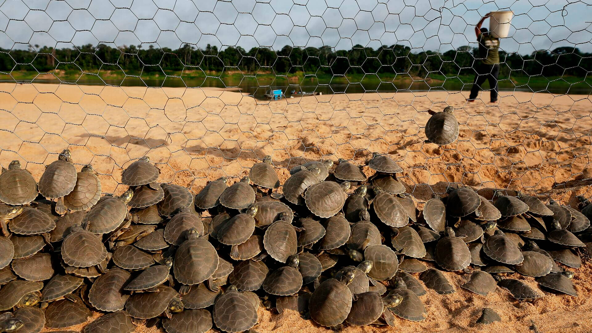 Fotos de la semana - Especiales Semana