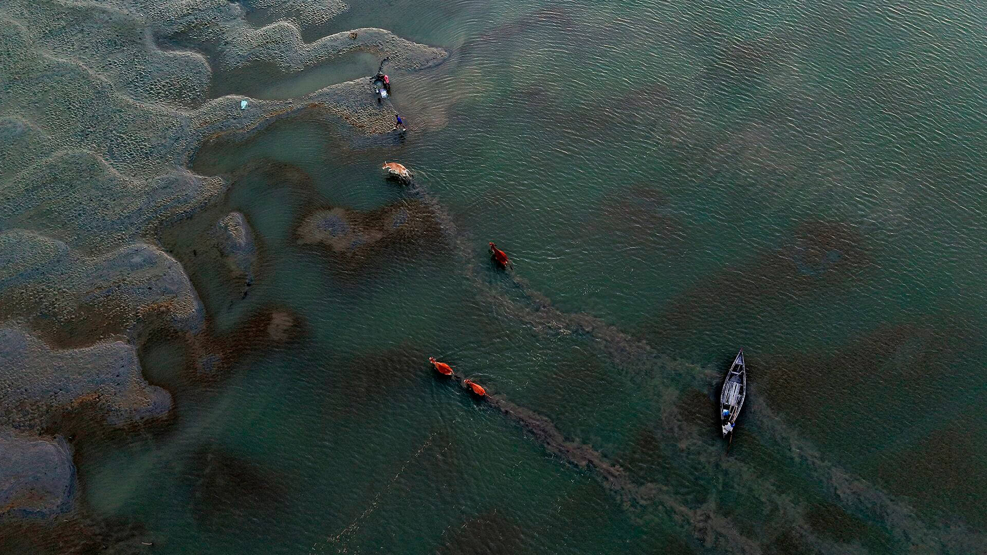 Fotos de la semana - Especiales Semana