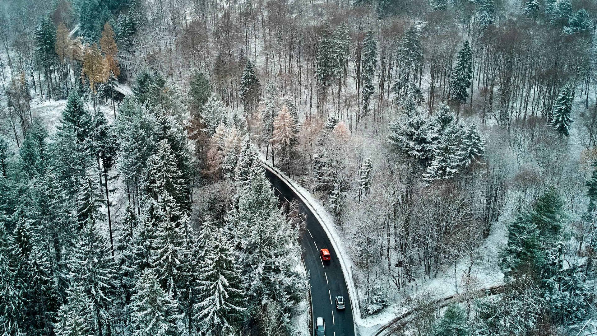 Fotos de la semana - Especiales Semana