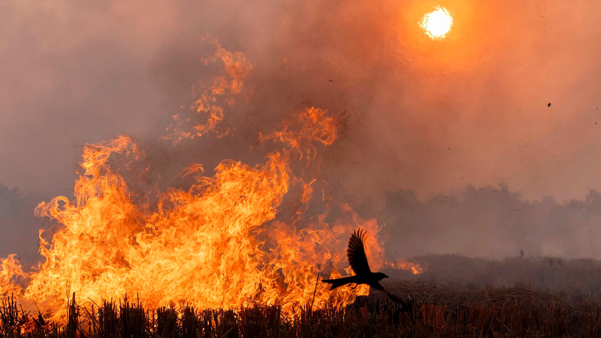 Fotos de la semana - Especiales Semana