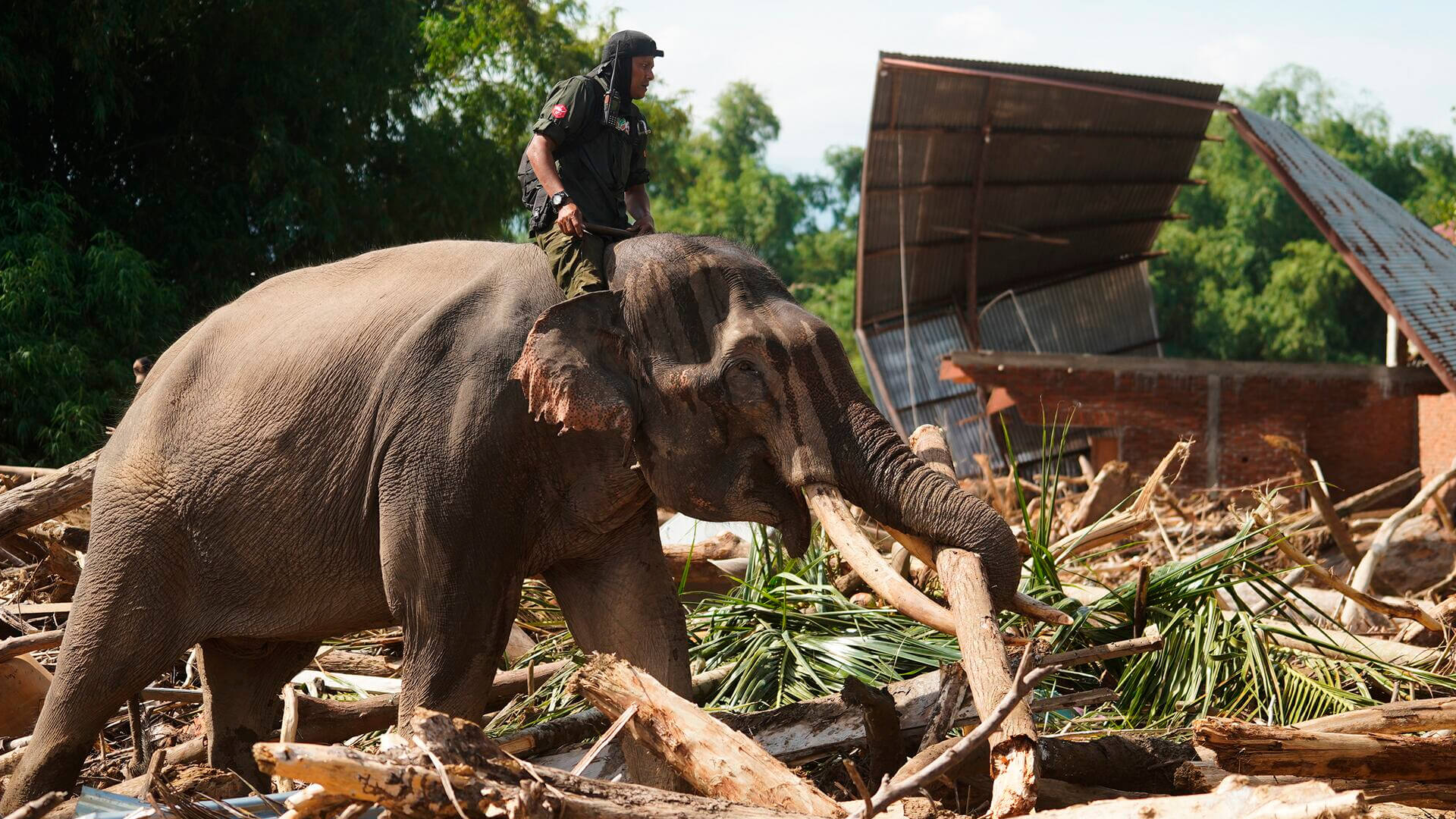 Fotos de la semana - Especiales Semana