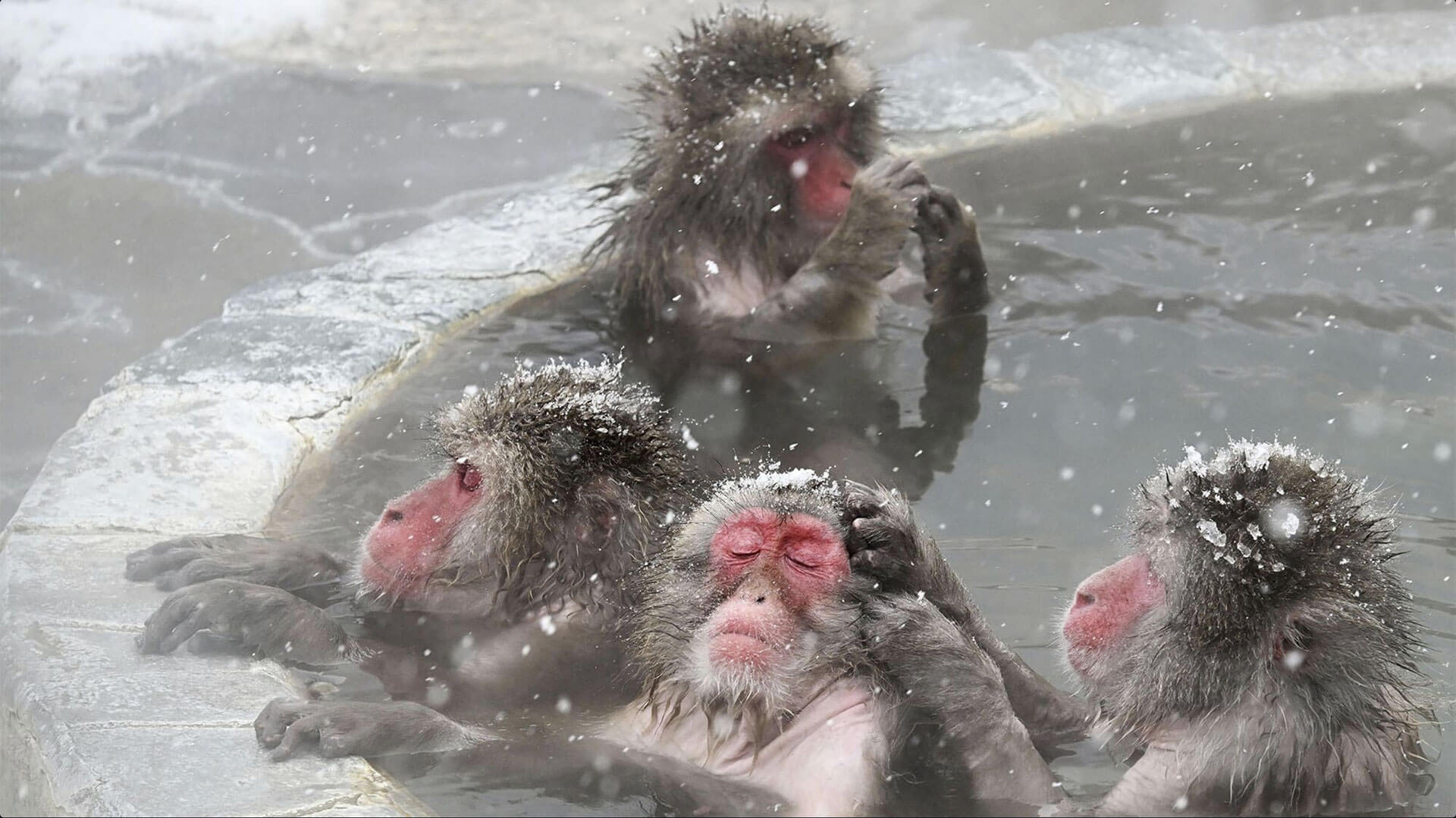 Fotos de la semana - Especiales Semana