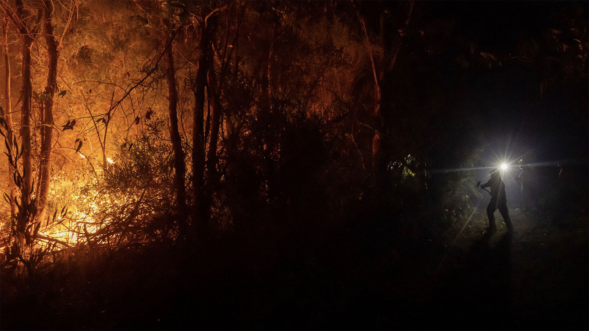 Fotos de la semana - Especiales Semana