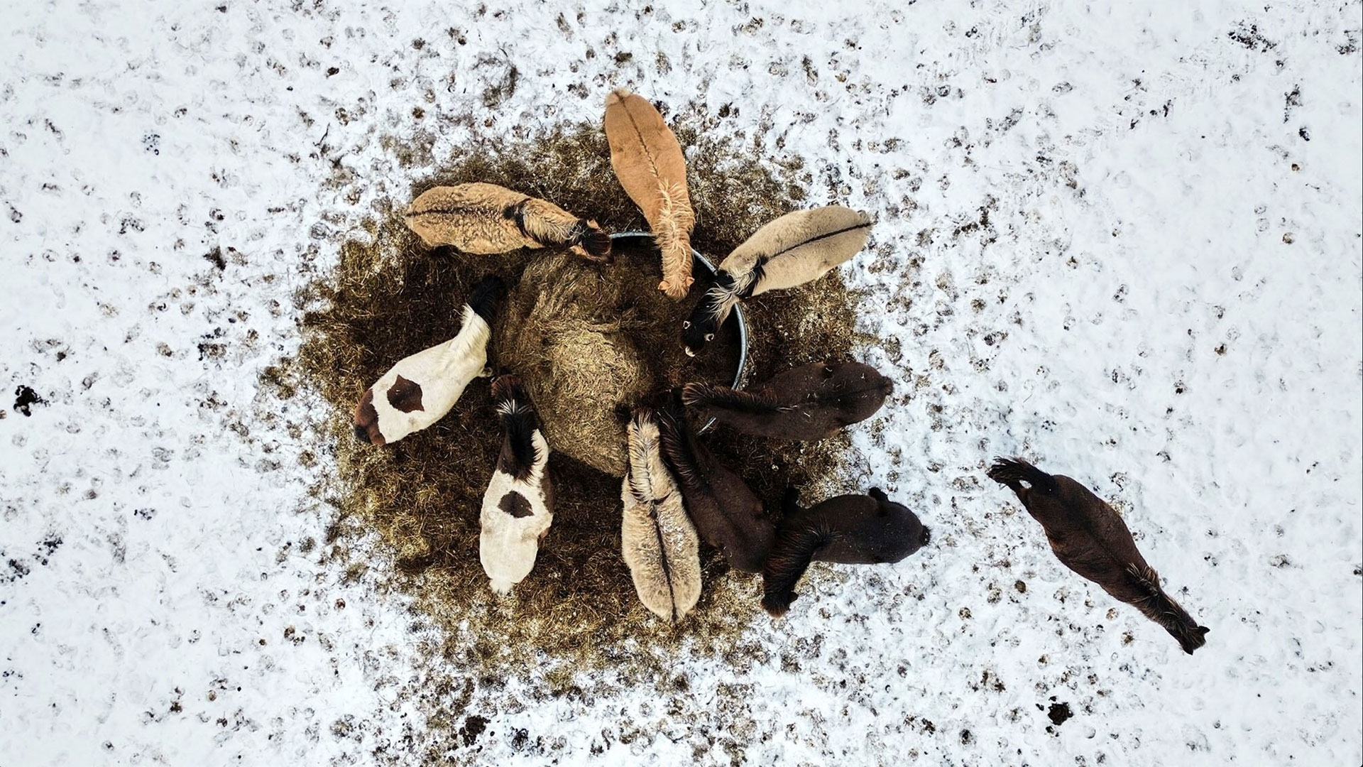 Fotos de la semana - Especiales Semana