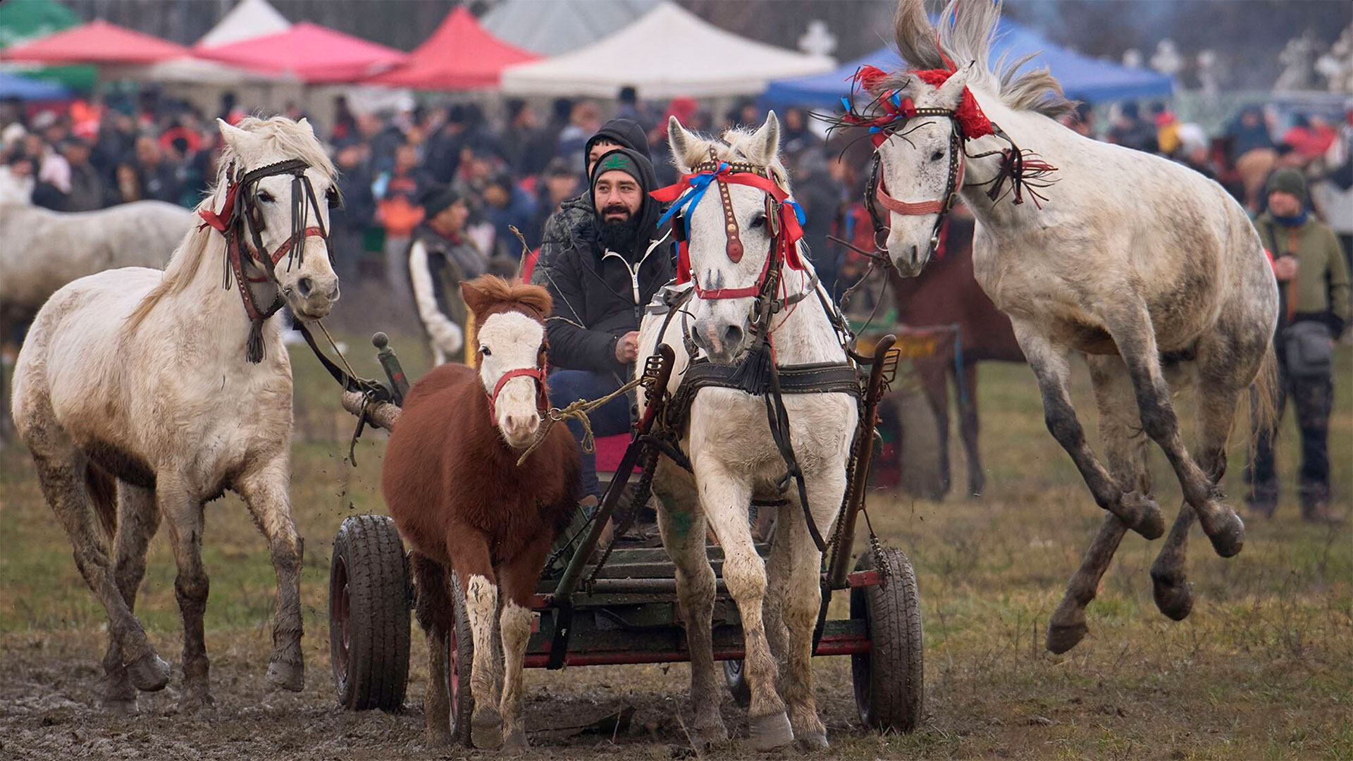 Fotos de la semana - Especiales Semana
