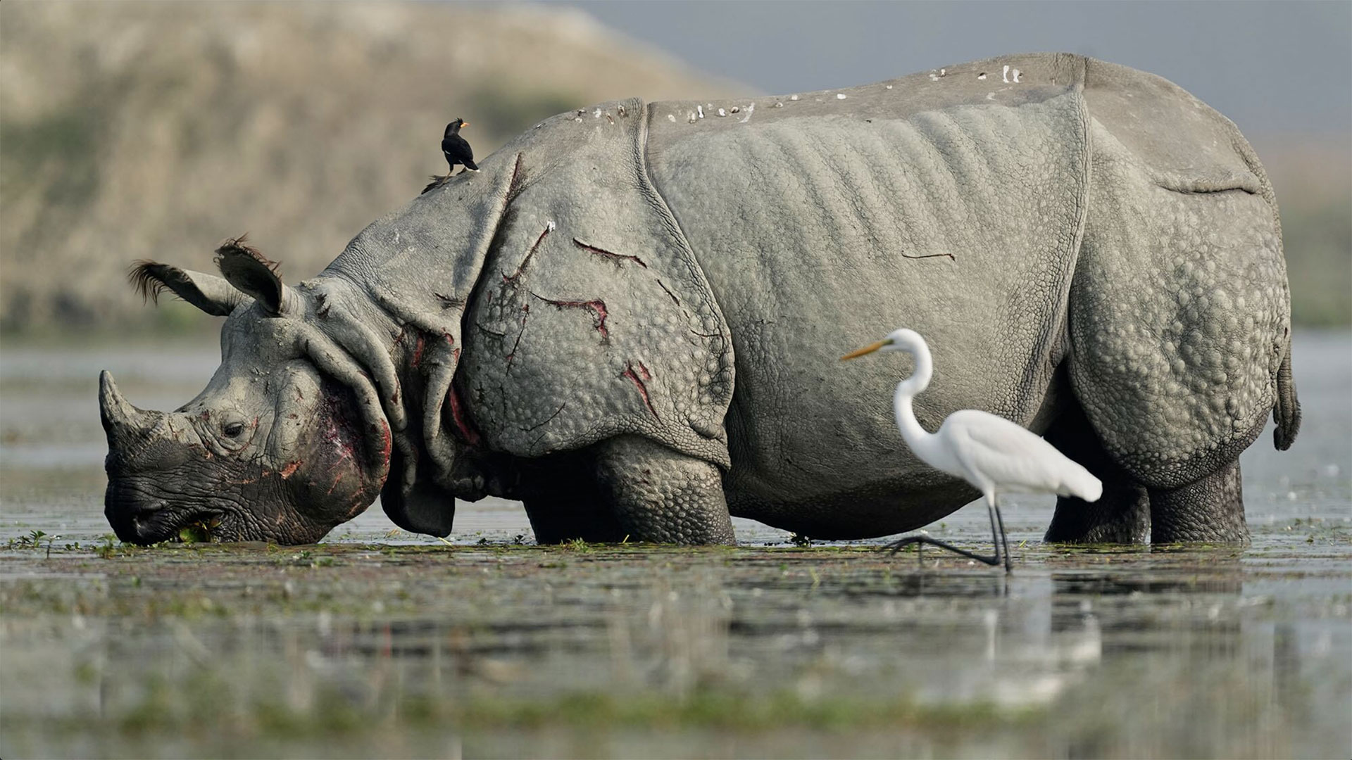 Fotos de la semana - Especiales Semana