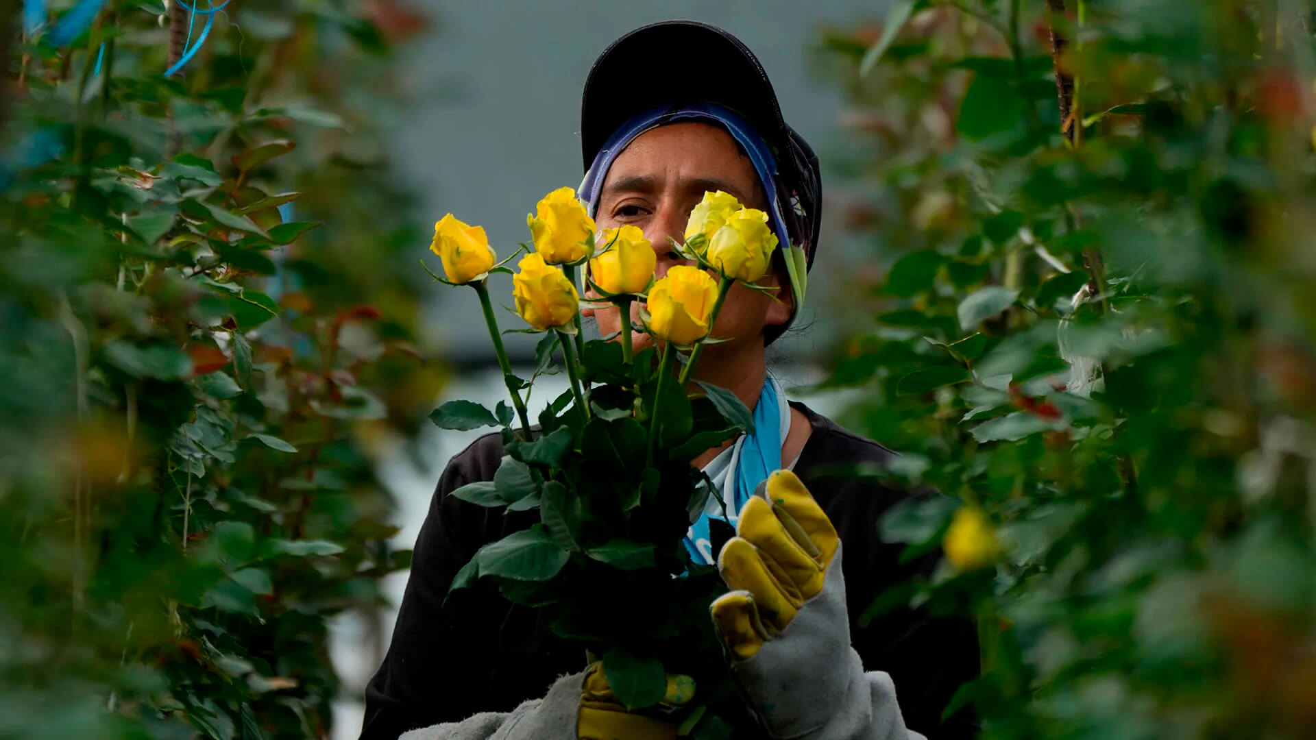 Fotos de la semana - Especiales Semana