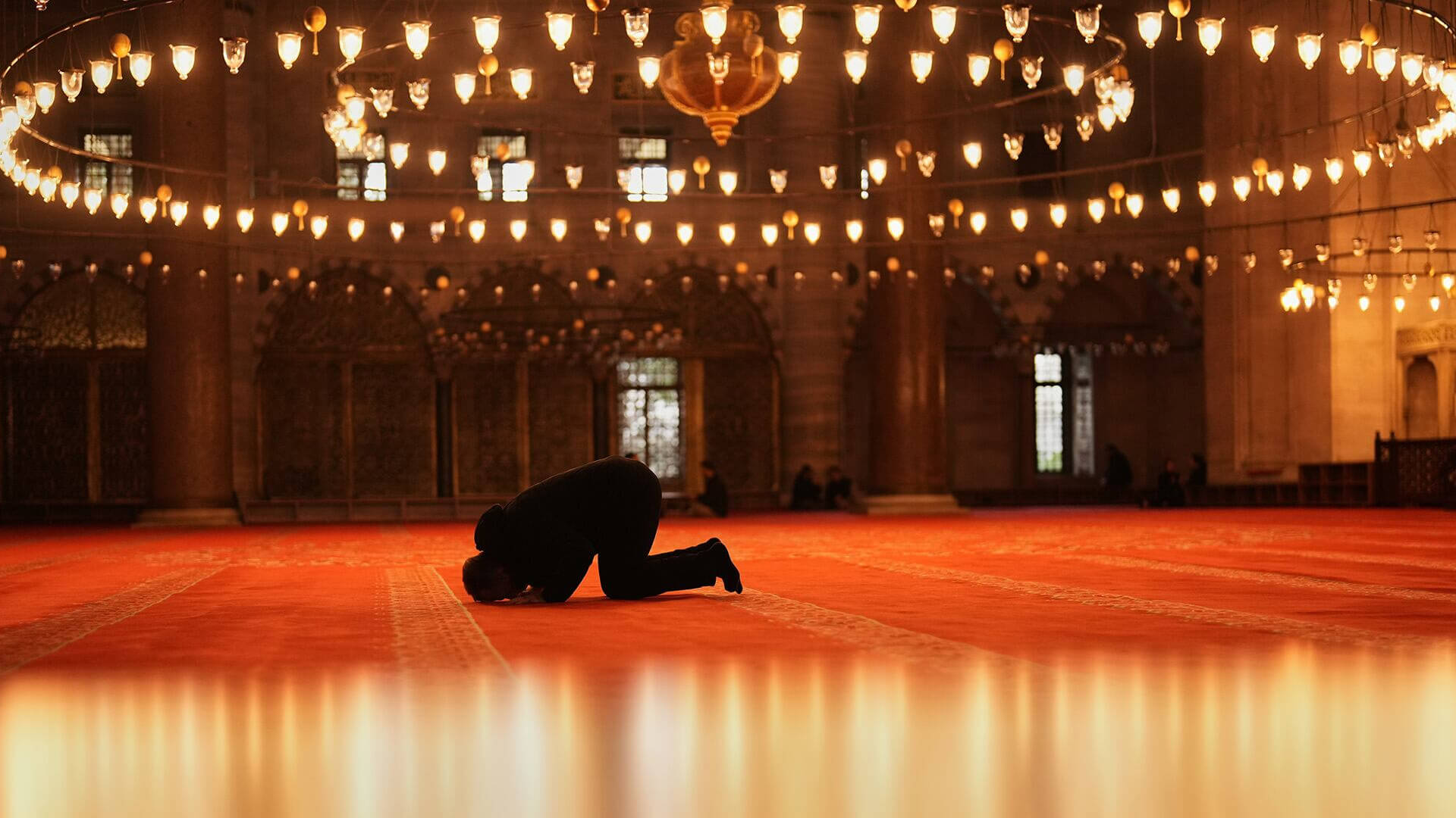 Fotos de la semana - Especiales Semana